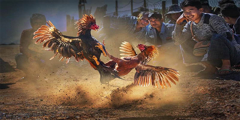 đăng nhập roulette số 1