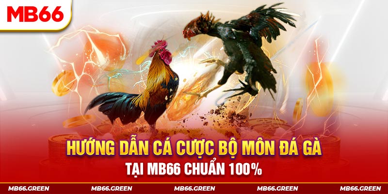 sv388 bet xổ số bình định
