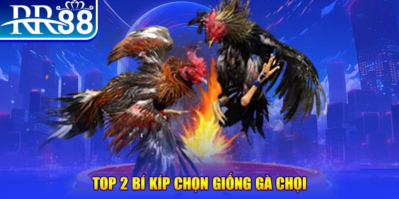 sv388 bet đăng nhập poker số 1