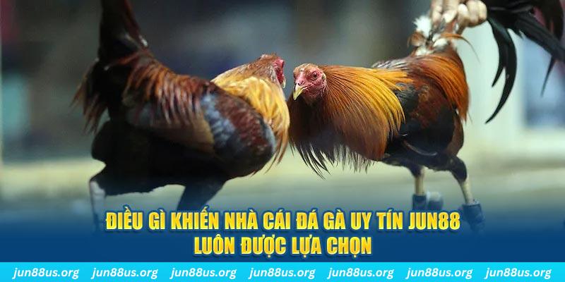 sv388 bet qq88 nổ hũ bắn cá