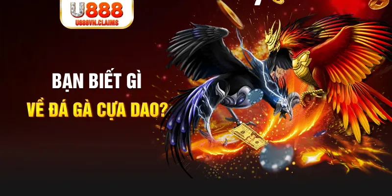 sv388 bet xổ số kiến thiết