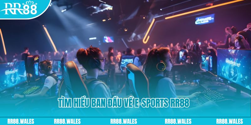 sv388 bet Đĩa màu ace