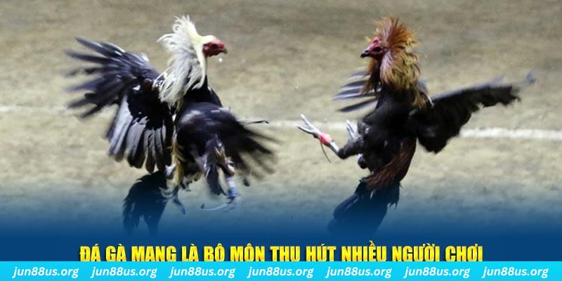 sv388 bet xổ số cà mau