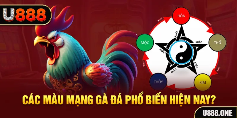 sv388 bet đăng nhập mậu binh