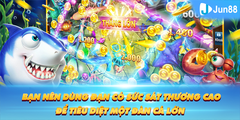 sv388 bet Tung Đồng Xu