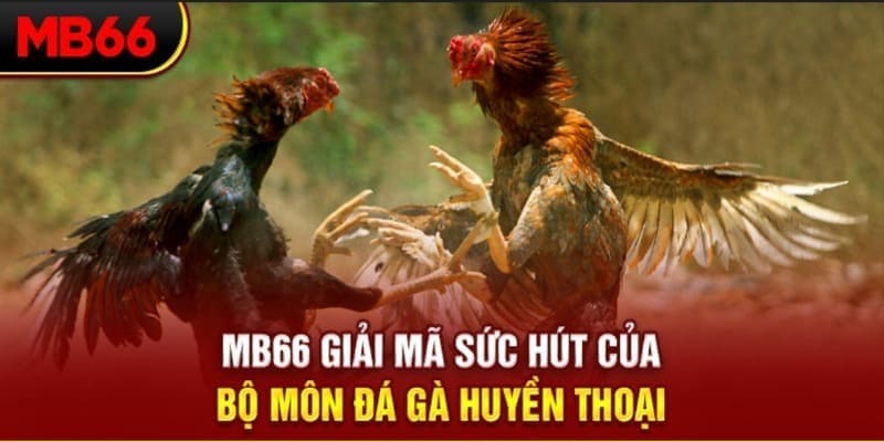 sv388 bet Phi Đội Ưu Tú