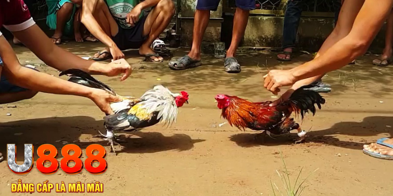 sv388 bet đăng nhập mậu binh rút tiền nhanh