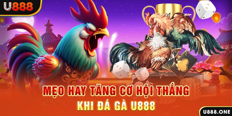 sv388 bet trực tiếp gà chọi c1