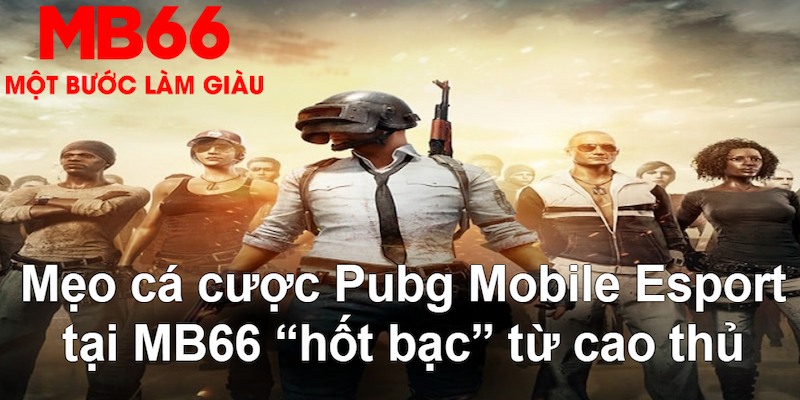 gà chọi mộc hóa