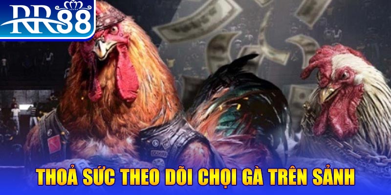sv388 bet đá gà 88.com
